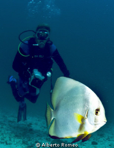 Meeting with the  the batfish. by Alberto Romeo 
